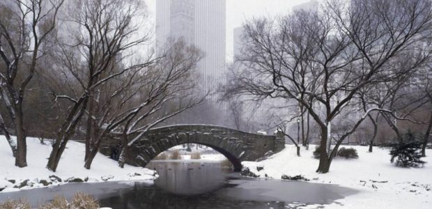 Central Park in The Division?
